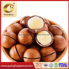 Macadamia Nuts of Good Quality and New Crop